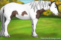 Horse Color:Brown Splash Tobiano Rabicano
