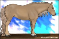 Horse Color:Palomino 