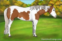 Horse Color:Silver Bay Splash Tobiano 