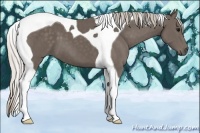 Horse Color:Silver Black Tobiano