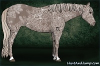 Horse Color:Silver Black Ice 