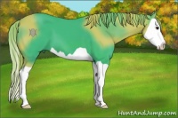 Horse Color:Watercolor Black Splash