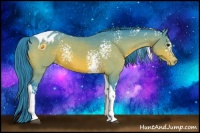 Horse Color:Watercolor White Spotted Bay Tobiano Appaloosa