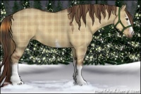 Horse Color:Plaid  White Spotted Liver Red Dun 