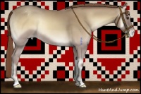 Horse Color:Classic Cream Champagne Onyx Appaloosa