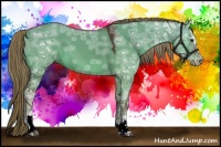 Horse Color:White Spotted Liver Red Dun Ice Rabicano 