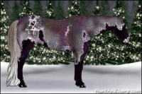 Horse Color:White Spotted Midnight Liver Red Dun Ice Splash Appaloosa Brindle