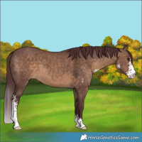 Horse Color:Chocolate Brown Dun Sabino 