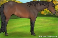 Horse Color:Brown 