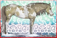 Horse Color:White Spotted Chocolate Palomino Dun Sabino 