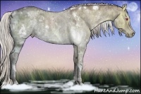 Horse Color:White Spotted Chocolate Silver Smoky Grullo Chinchilla Ice Sabino