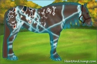 Horse Color:Thunderstruck Liver Chestnut Sabino Appaloosa 