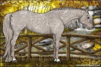 Horse Color:Silver Blue Ice Roan