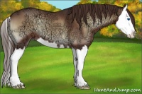 Horse Color:Red Onyx Ice Roan Splash 