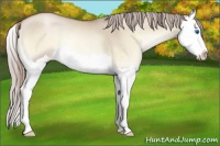 Horse Color:Chocolate Palomino Pearl Onyx Splash