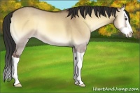 Horse Color:Liver Red Dun Onyx Splash 
