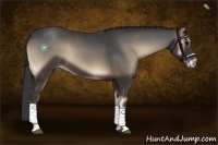 Horse Color:Blue Onyx 