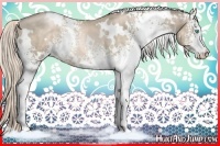 Horse Color:White Spotted Chocolate Palomino Pearl Rabicano
