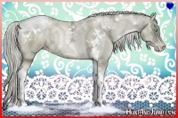 Horse Color:Chocolate Palomino Ice Pearl Sabino Tobiano Rabicano 