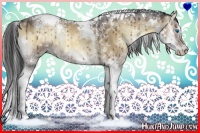 Horse Color:White Spotted Liver Red Dun Onyx Splash Tobiano Rabicano 