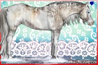 Horse Color:White Spotted Chocolate Palomino Ice Pearl Onyx Splash Rabicano  and White Spotted Liver Red Dun Onyx Splash Tobiano Rabicano 