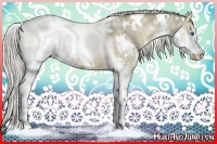 Horse Color:White Spotted Chocolate Palomino Ice Dun Splash Rabicano