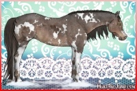 Horse Color:White Spotted Liver Chestnut Ice 