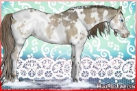 Horse Color:White Spotted Liver Red Dun Splash Rabicano
