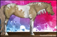 Horse Color:Chocolate Palomino Dun Tobiano 