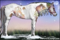 Horse Color:Painted Nacre White Spotted Bay Onyx Tobiano 