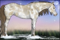 Horse Color:White Spotted Liver Red Dun Splash
