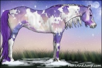 Horse Color:Watercolor White Spotted Bay Onyx 