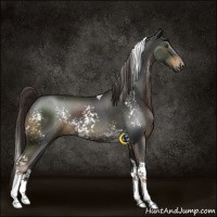 Horse Color:White Spotted Liver Chestnut Tobiano 
