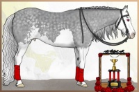 Horse Color:Silver Classic Champagne Chinchilla Sabino Splash