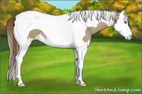Horse Color:Classic Cream Champagne Splash Tobiano Varnish 