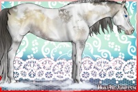 Horse Color:Liver Red Onyx Splash Tobiano 