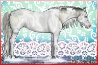 Horse Color:White Spotted Liver Red Dun Onyx Sabino Splash Rabicano 