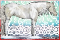 Horse Color:White Spotted Chocolate Palomino Pearl Dun Tobiano