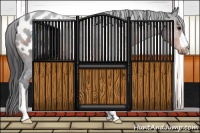 Horse Color:Brown Roan Appaloosa 