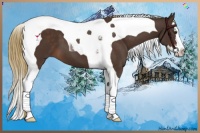 Horse Color:Liver Chestnut Splash Tobiano 