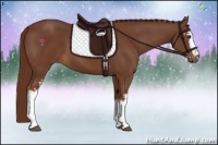 Horse Color:White Spotted Chestnut Sabino 