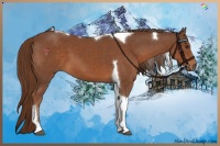 Horse Color:Chestnut Tobiano 