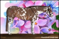 Horse Color:Liver Chestnut Sabino Rabicano 