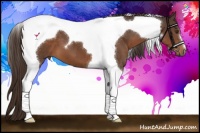 Horse Color:Liver Chestnut Tobiano 
