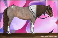 Horse Color:Liver Red Roan Tobiano 