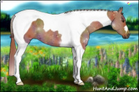 Horse Color:Gray Nacre Chestnut Tobiano 