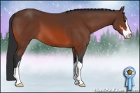 Horse Color:Bay Sabino 