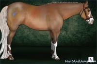 Horse Color:Silver Bay Sabino Splash Rabicano 