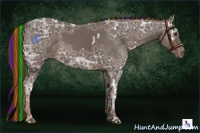 Horse Color:Painted White Spotted Liver Chestnut Ice