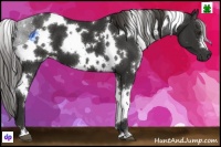 Horse Color:White Spotted Liver Chestnut 